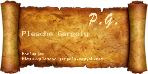 Plesche Gergely névjegykártya